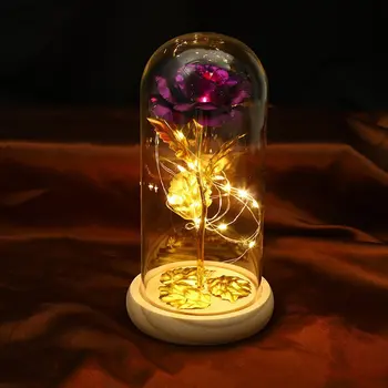 2023 LED Magic Galaxy Tõusis Igavene 24K Gold Foil Lill Dome Haldjas String Tuled Jõulud sõbrapäev emadepäeva Kingitus