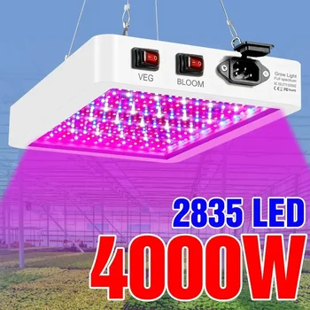 Uusim 4000/5000W Täieliku Spektri LED Kasvab Valgus, IP65 Taime Sibulad Hüdropooniline Lamp Kasvuhoone Lambid Lille Kasvu Valgustus Kasti
