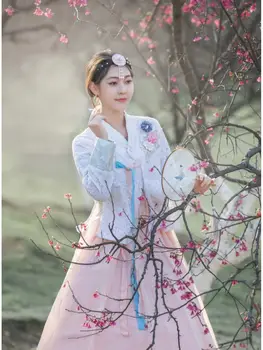 Naiste Uus Korea Traditsiooniliste Rõivaste Haldjas Kleit Naiste Staadiumis Täitmiseks Kohev Kostüüm Mitmevärviline Hanbok Folk Top Seelik Komplekti